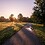 midlifereset